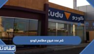كم عدد فروع مطاعم كودو