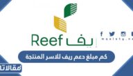 كم مبلغ دعم ريف للاسر المنتجة وشروط التسجيل في الدعم الريفي 1447