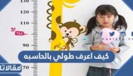 كيف اعرف طولي بالحاسبه