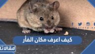 كيف اعرف مكان الفأر