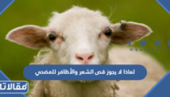 لماذا لا يجوز قص الشعر والأظافر للمضحي