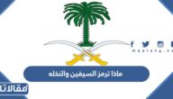 ماذا ترمز السيفين والنخله في العلم السعودي