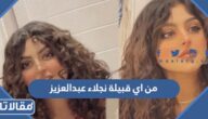 من اي قبيلة نجلاء عبدالعزيز