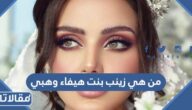 من هي زينب بنت هيفاء وهبي ويكيبيديا