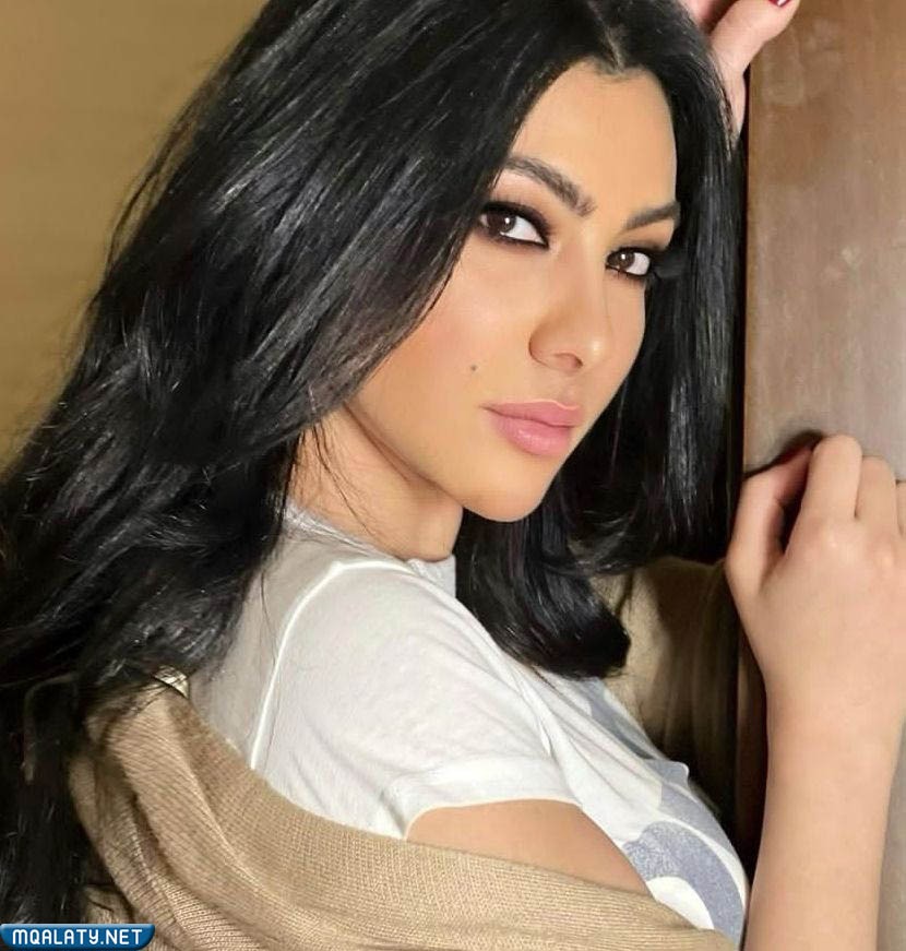 ميرهان حسين السيرة الذاتية