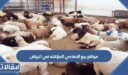 مواقع بيع الاضاحي المؤقته في الرياض 2026 – 1447