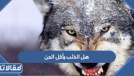 هل الذئب يأكل الجن