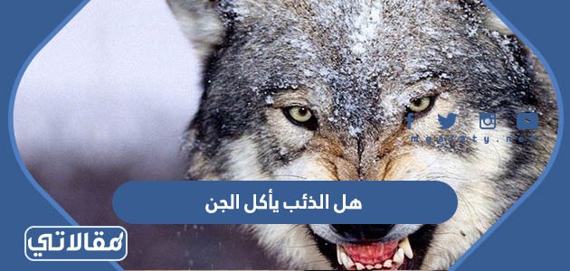 هل الذئب يأكل الجن