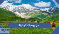 هل جورجيا تحتاج فيزا