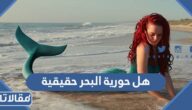 هل حورية البحر حقيقية ام اسطورة 