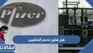هل فايزر تدعم المثليين
