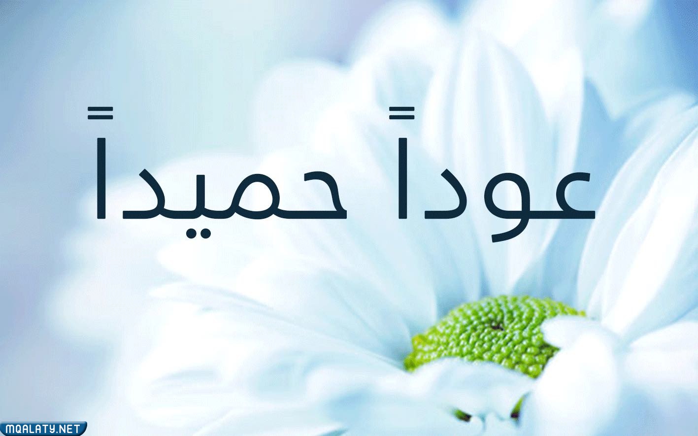اجمل صور مكتوب عليها عودا حميدا 2023
