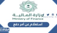خطوات استعلام عن امر دفع الكترونيا 1444 – 2023
