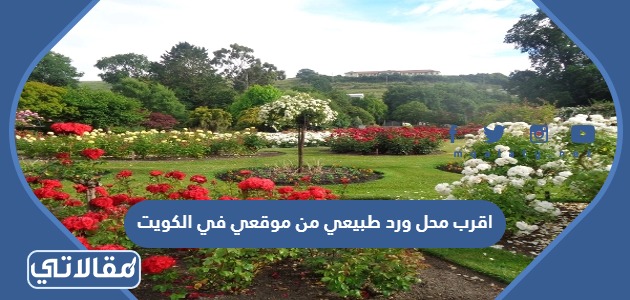 اقرب محل ورد طبيعي من موقعي في الكويت