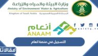 طريقة التسجيل في منصة انعام