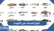 انواع السمك في الكويت