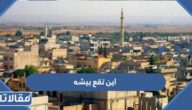 اين تقع بيشه في السعودية