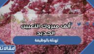 عبارات تهنئة بالوظيفة الجديدة 2025 مكتوبة وبالصور