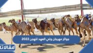 جوائز مهرجان ولي العهد للهجن 2023