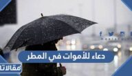 دعاء للأموات في قبورهم في المطر