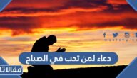 دعاء لمن تحب في الصباح مكتوب وبالصور