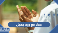 صور دعاء مع ورد جميل