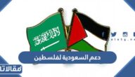 كم نسبة دعم السعودية لفلسطين من الموازنة العامة