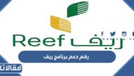 رقم دعم برنامج ريف المجاني والموحد