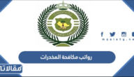 رواتب مكافحة المخدرات 1447 للنساء مع البدلات والعلاوات السنوية