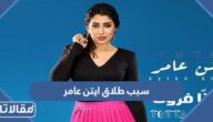 سبب ‎طلاق ايتن عامر