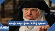 سبب وفاة انطوانيت نجيب الفنانة السورية
