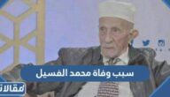 سبب وفاة محمد الفسيل المناضل اليمني