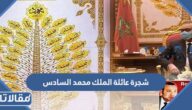 شجرة عائلة الملك محمد السادس