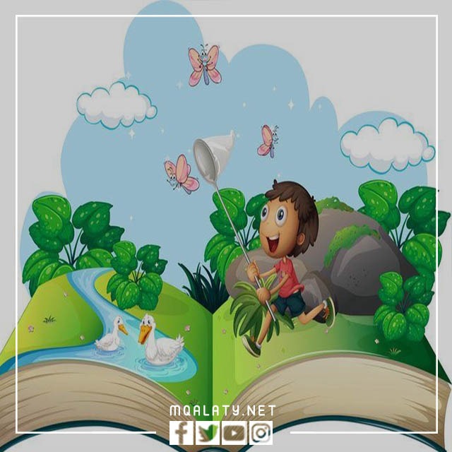 صور العودة للمدارس