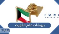 صور بروشات علم الكويت جديدة