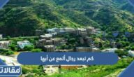 كم تبعد رجال ألمع عن أبها