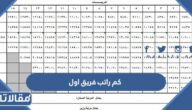 كم راتب فريق اول ركن سعودي 1447 وسلم رواتب الضباط