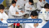 كم عدد المعلمين في السعودية 1444