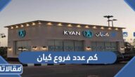 كم عدد فروع كيان