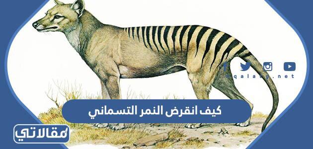 كيف انقرض النمر التسماني