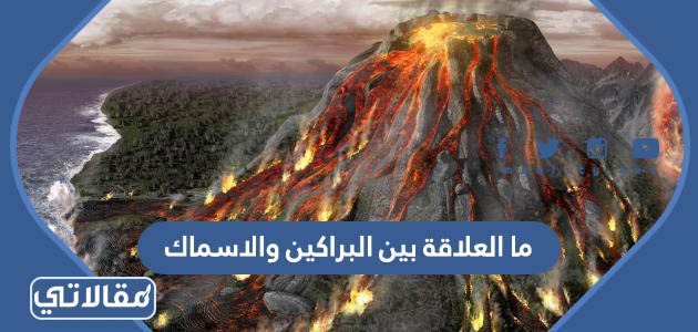 ما العلاقة بين البراكين والاسماك