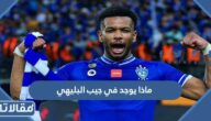 ماذا يوجد في جيب البليهي