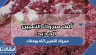  عبارات مبروك التعيين الله يوفقك 2025 مكتوبة وبالصور