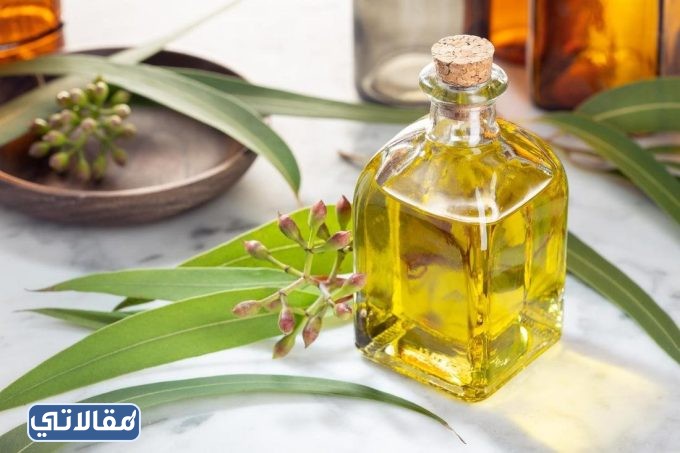 متى ينتهي مفعول الكافور