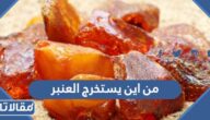 من اين يستخرج العنبر وما هي صفاته