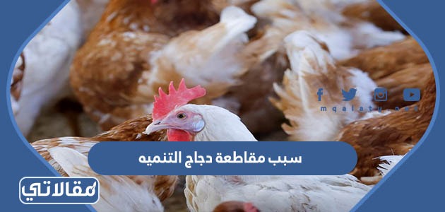 من هو صاحب شركة دجاج التنمية