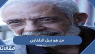 من هو نبيل الحلفاوي ويكيبيديا