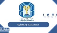 منصة خدمتك جامعة طيبة eservicesportal.taibahu.edu.sa 