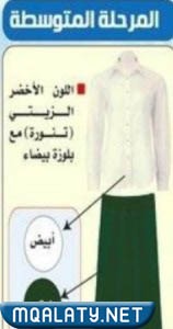 مواصفات مريول المتوسط