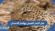 هل النمر العربي يهاجم الانسان